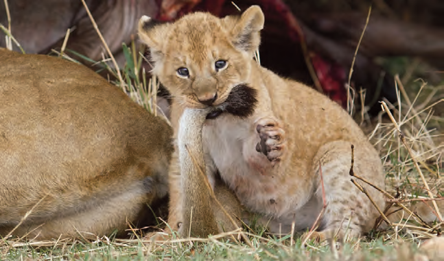 10_14_photo_competition_winners_2013_lr