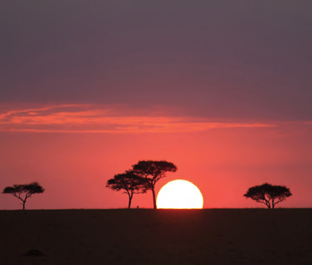 10_15_photo_competition_winners_2013_lr