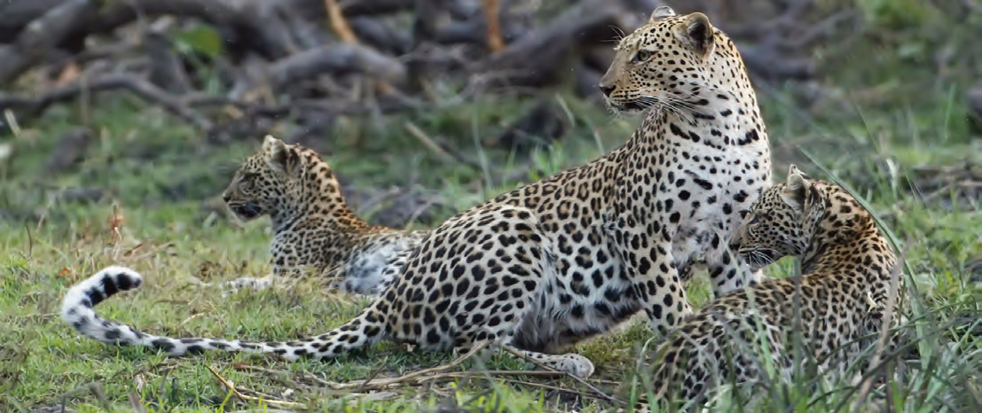 10_16_photo_competition_winners_2013_lr