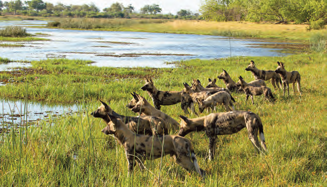 10_17_photo_competition_winners_2013_lr