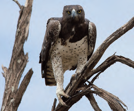 10_18_photo_competition_winners_2013_lr