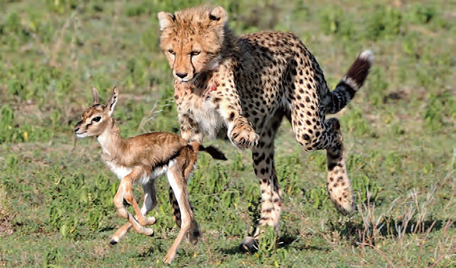 10_19_photo_competition_winners_2013_lr