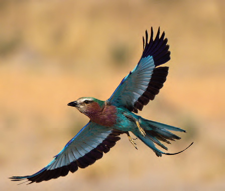 10_20_photo_competition_winners_2013_lr