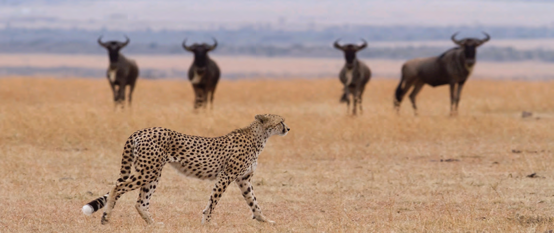 10_11_photo_competition_winners_2013_lr