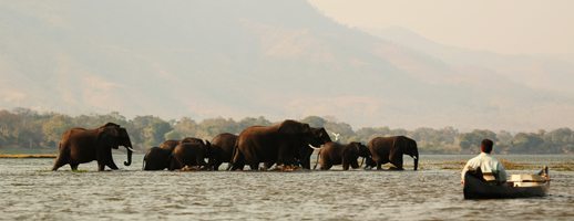 2013_8_1_Mana Pools by Mark Nolting