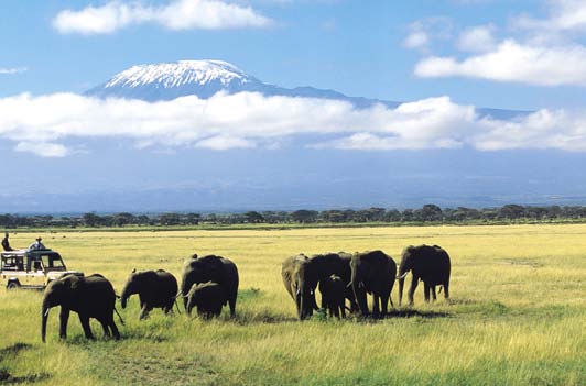 575_newsletter_2009_lr_oct