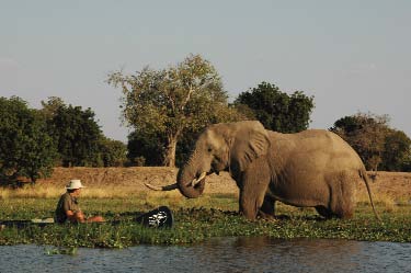 577_newsletter_2009_lr_oct