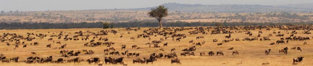 593_newsletter_2009_lr_oct