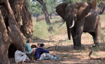 6_7_8_16_photographic_safaris_lr