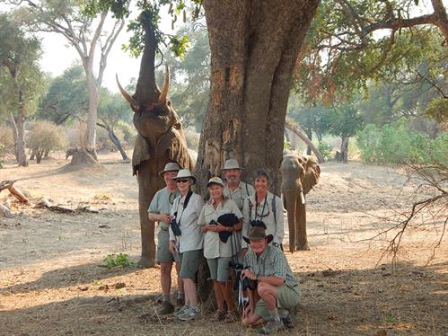 Clients - 1st - 45 - Scoville Tony - Zim15 Mana