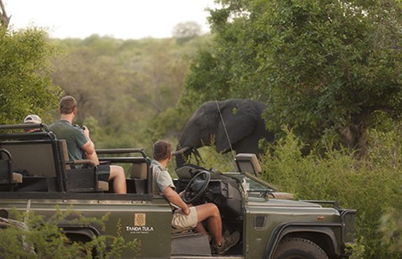 Tanda Tula - game drive - credit Tanda Tula