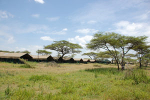 4-serengeti-shared-safari-camp-3