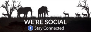 Fall 2016 Newsletter