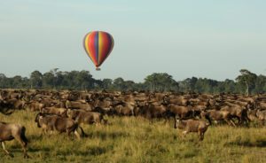 mara-balloon-safari-lr