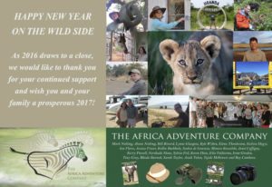 happy-new-year-2016-card-final