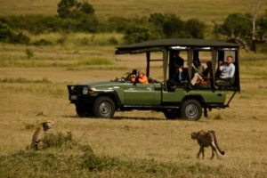 mara-plains-game-drive-credit-great-plains