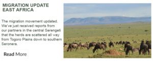 migration-update