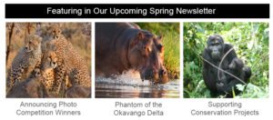 upcoming-spring-newsletter