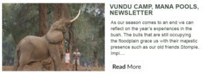 vundu-newsletter