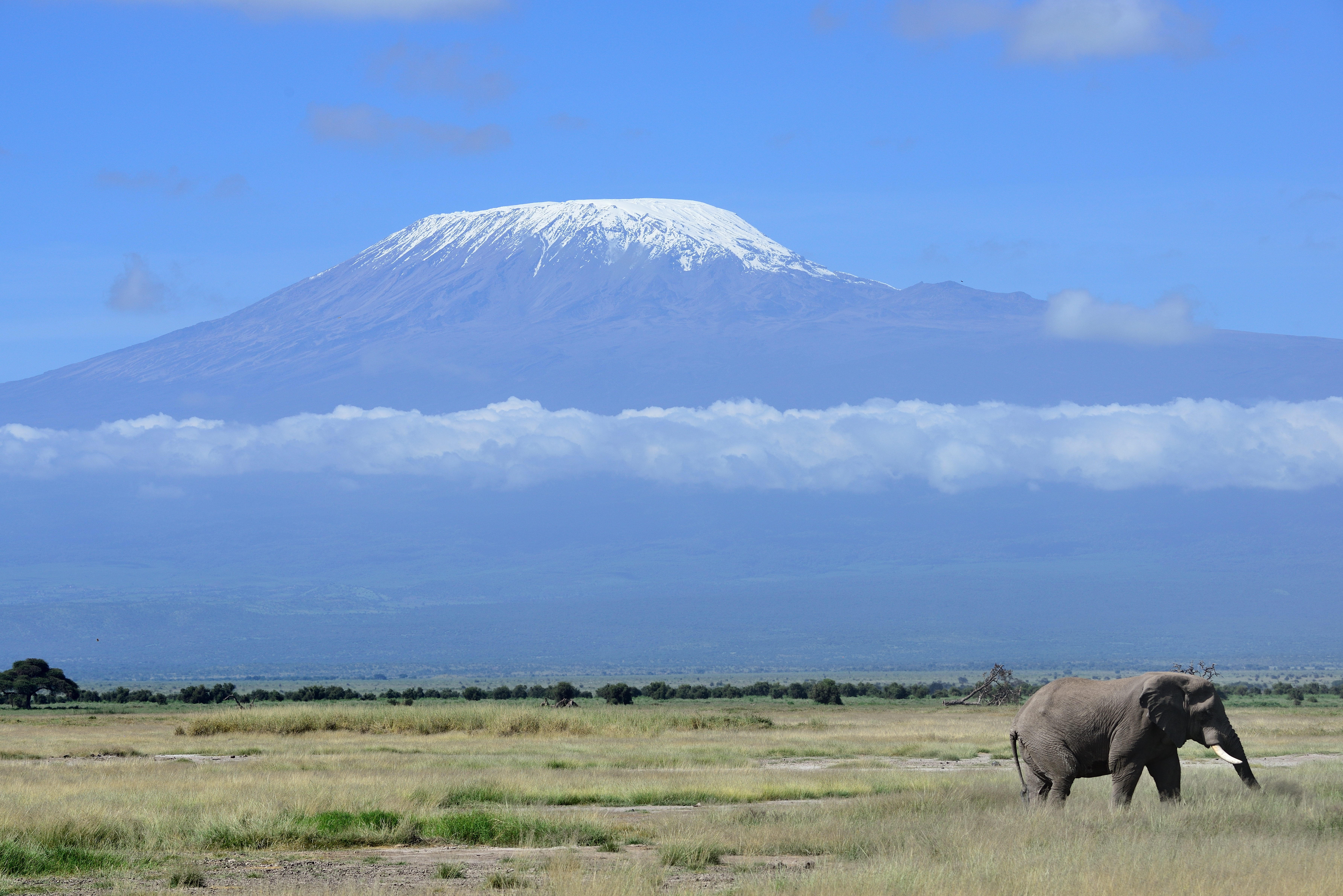 botswana and rwanda safari