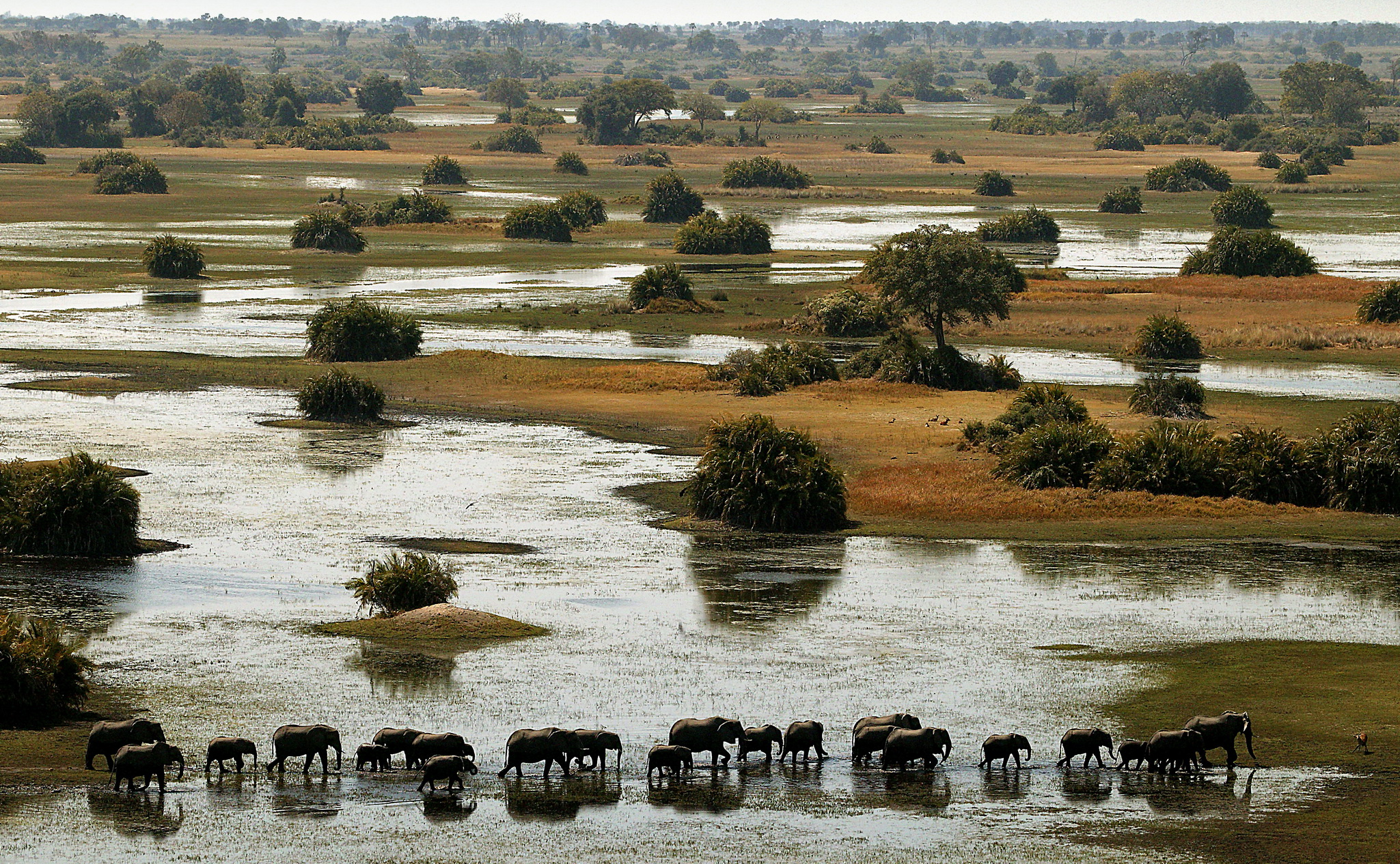 botswana and rwanda safari