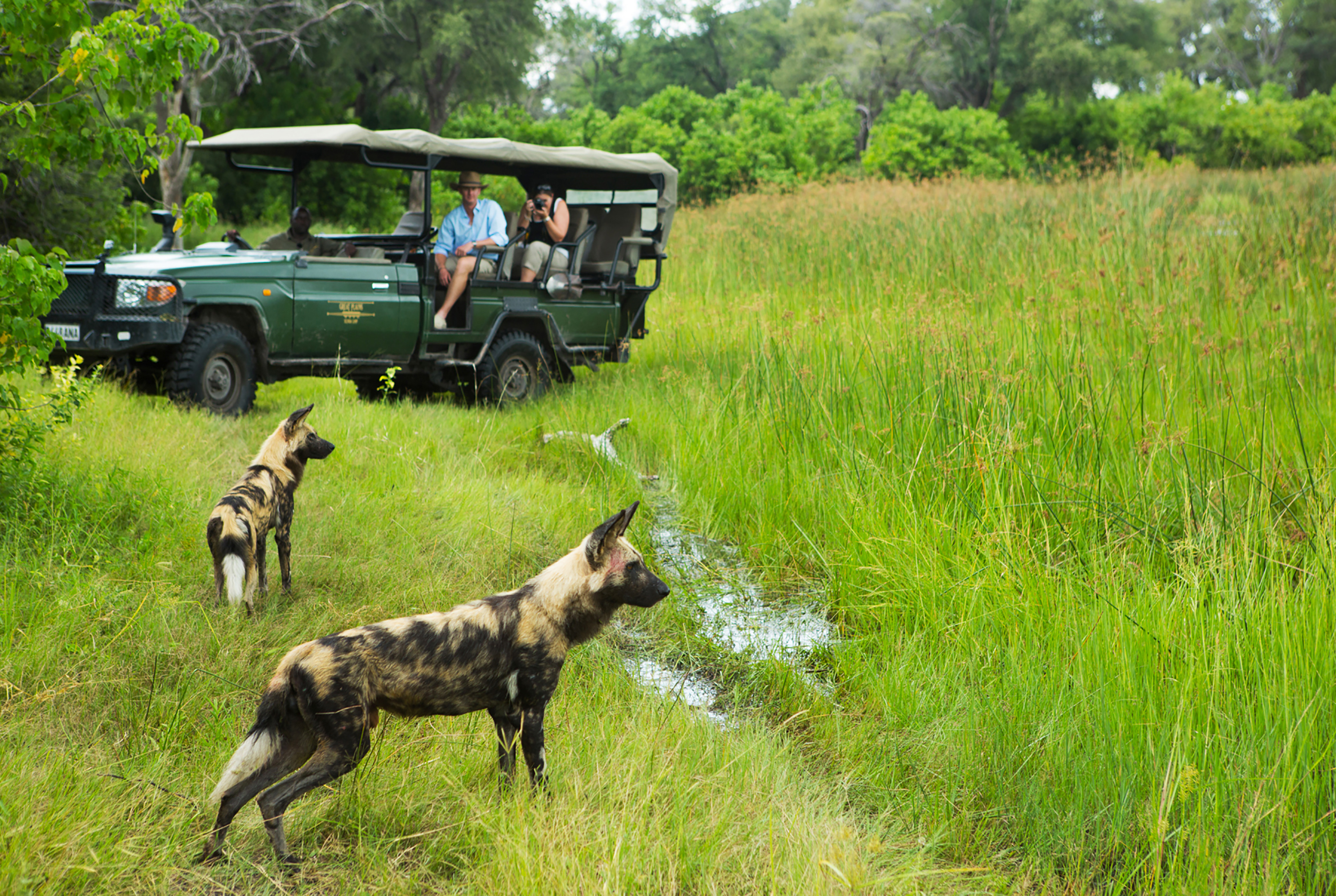 botswana and rwanda safari