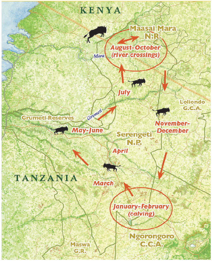 botswana safari reddit