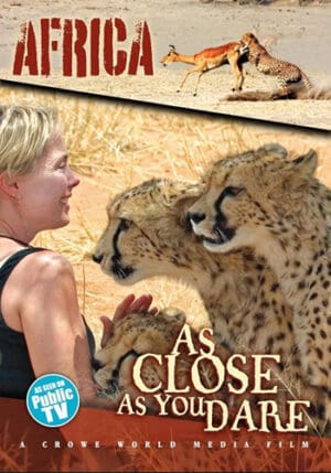 As Close As You Dare – Africa