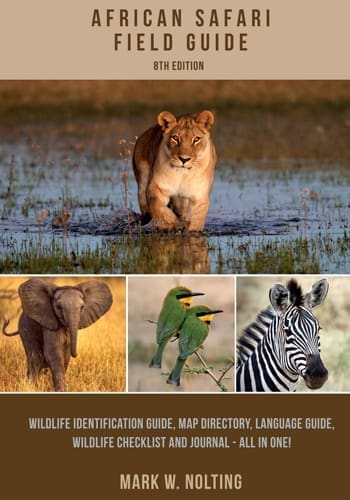 the african safari company