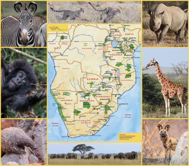 7 SUPERB SAFARIS FOR AFRICA S ICONIC ENDANGERED SPECIES The Africa 7 SUPERB SAFARIS FOR AFRICA S ICONIC ENDANGERED SPECIES The Africa