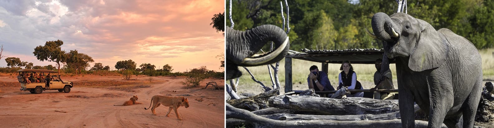 Royal Ngala Safaris  Legendary Serengeti Mobile Camp - Tanzania