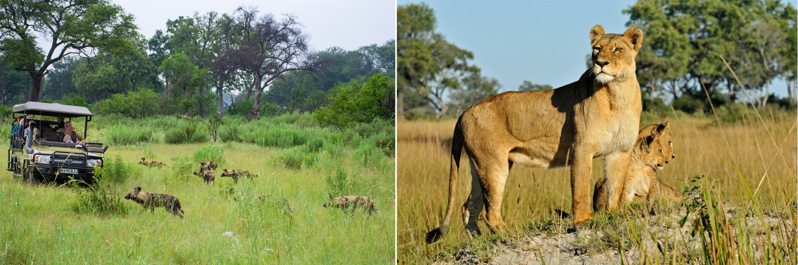 Royal Ngala Safaris  Legendary Serengeti Mobile Camp - Tanzania