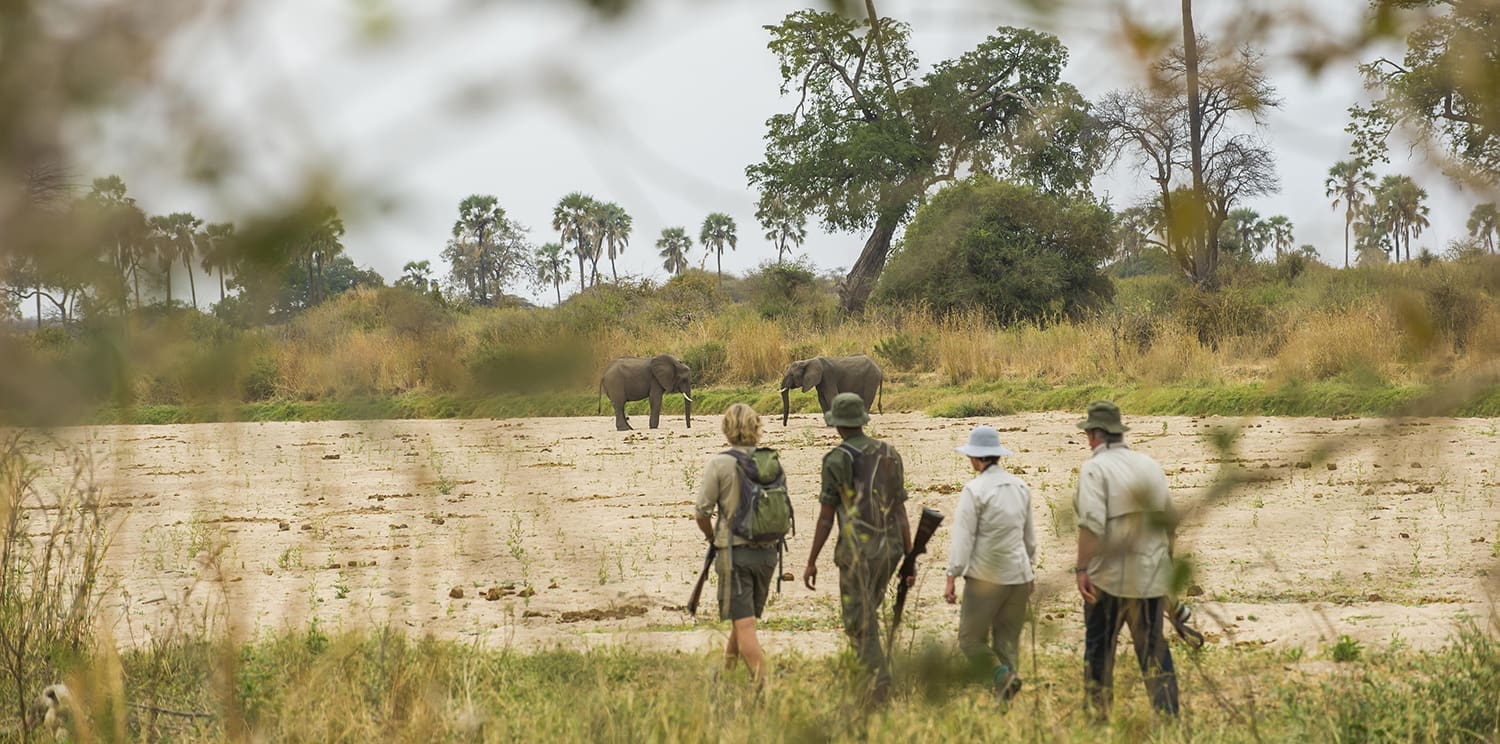 10 Day Southern Tanzania Safari